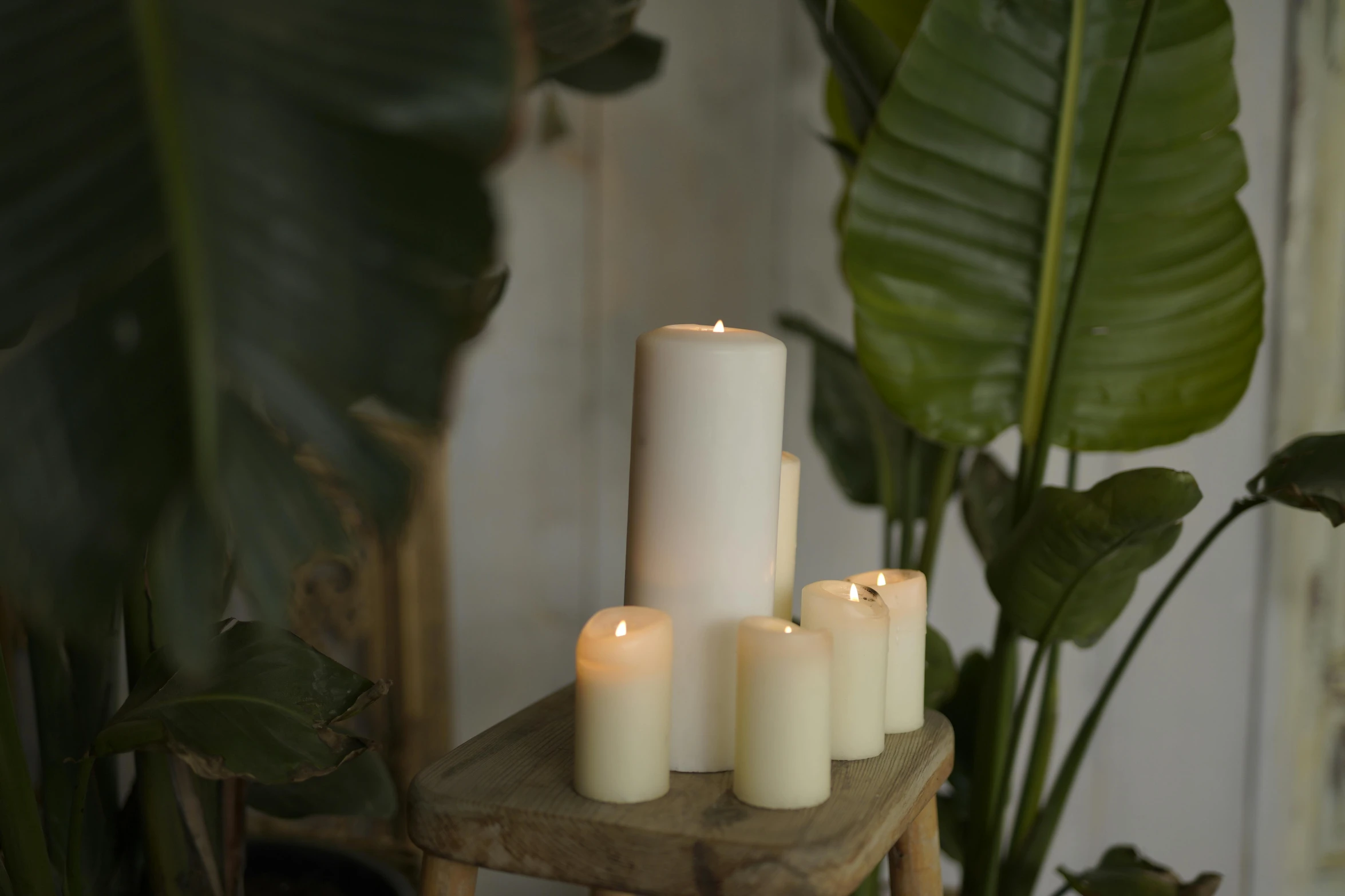 a set of white candles are on the table near a potted plant