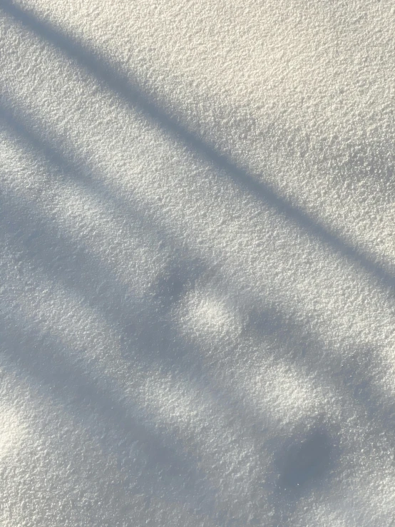 a bird flying low over the snow with its shadow