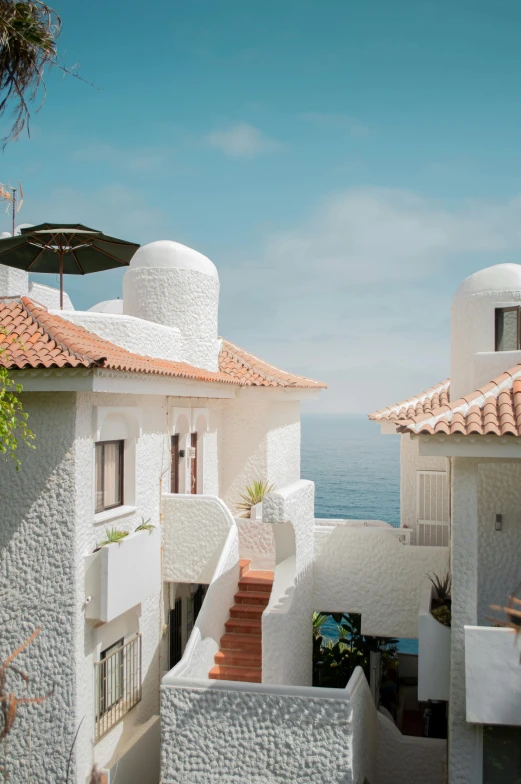 a couple of buildings with many windows and tiled roofs