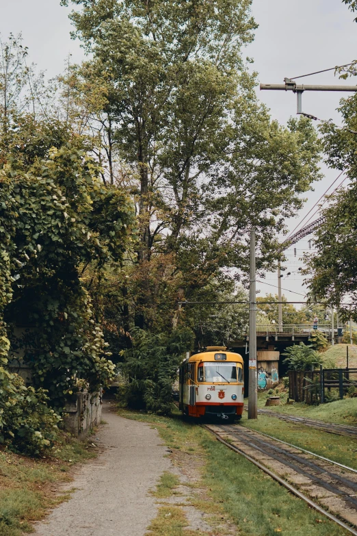 a small train moving along a track next to trees