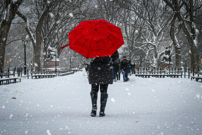 a woman holding an umbrella over her head in a snowy park