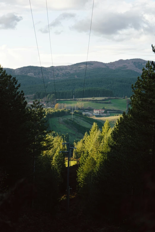 a cable car that is going up in the woods