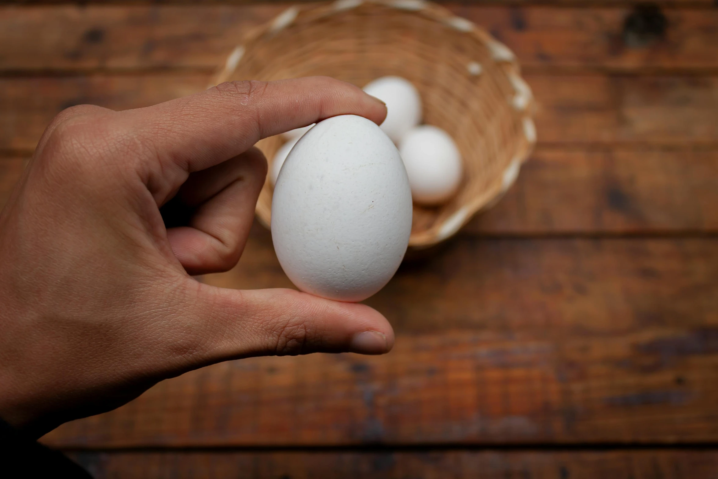 a person holding a white egg in front of three eggs