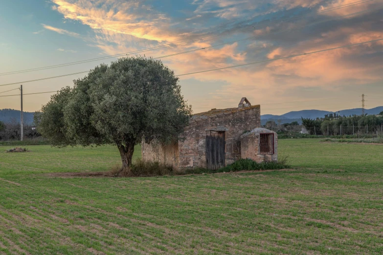 an old stone house with a tree at the base