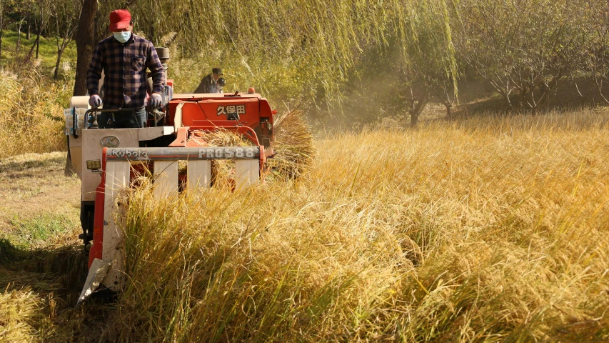 a person operating an orange tractor to brush a field