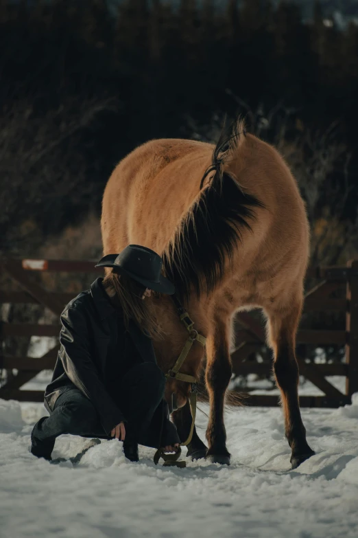 a person that is kneeling down next to a horse