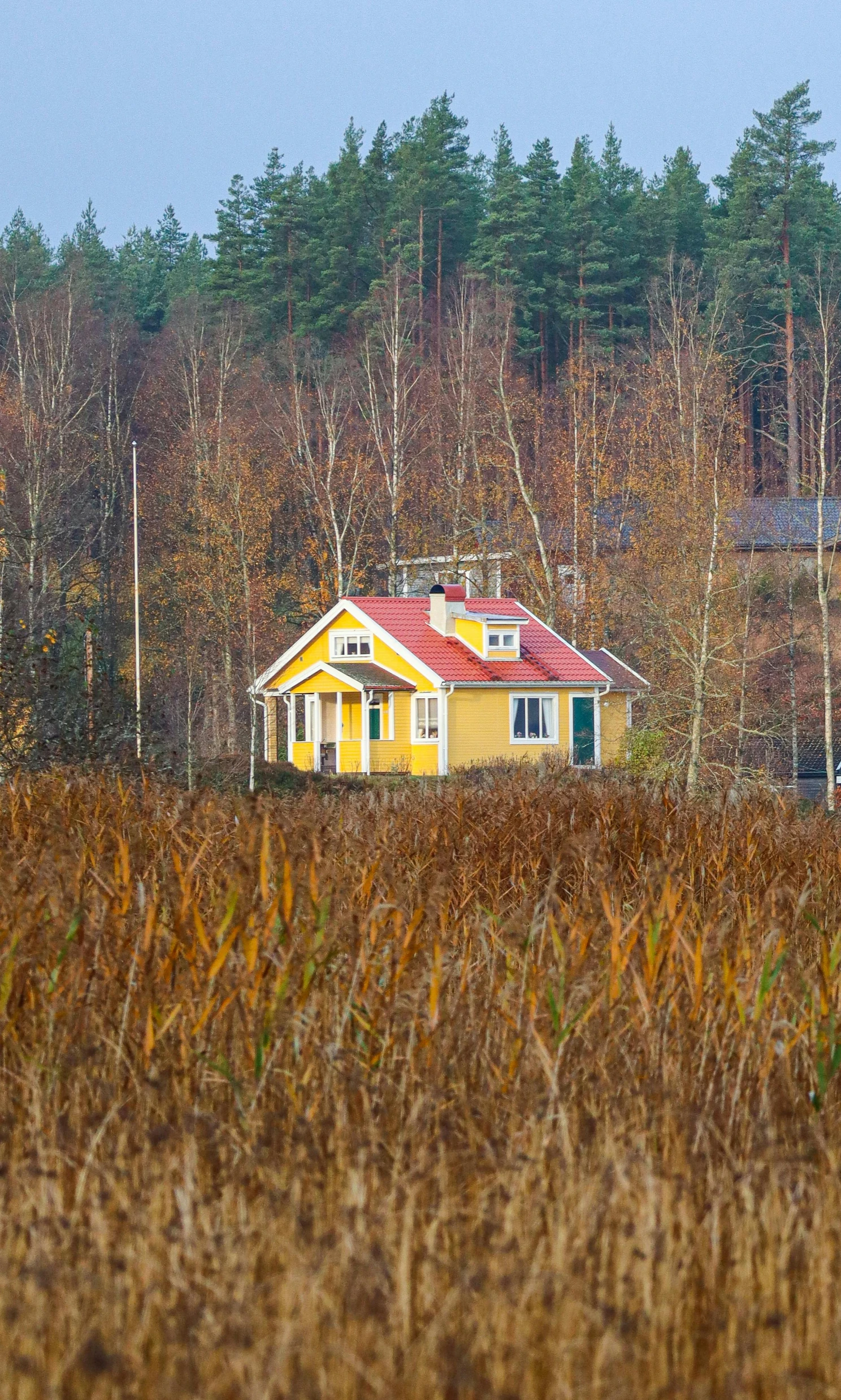 an image of a small yellow house in the woods