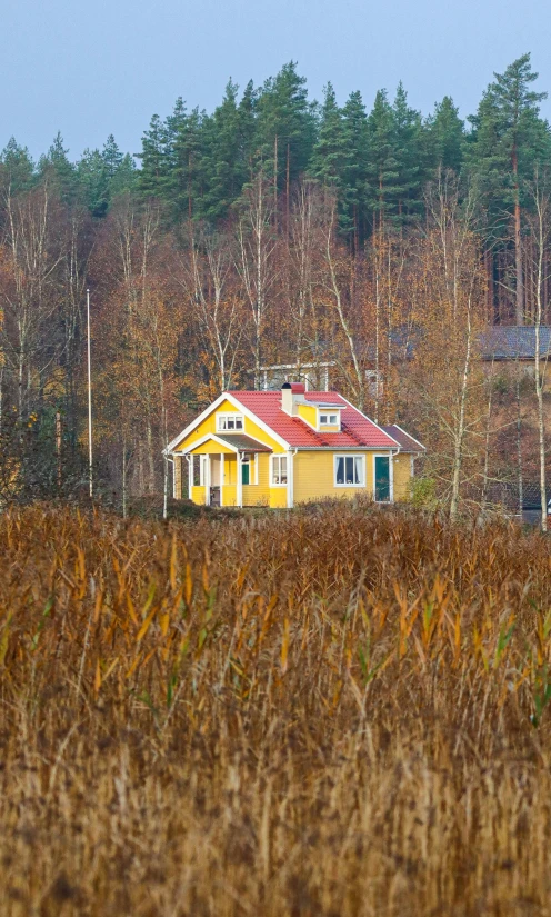 an image of a small yellow house in the woods