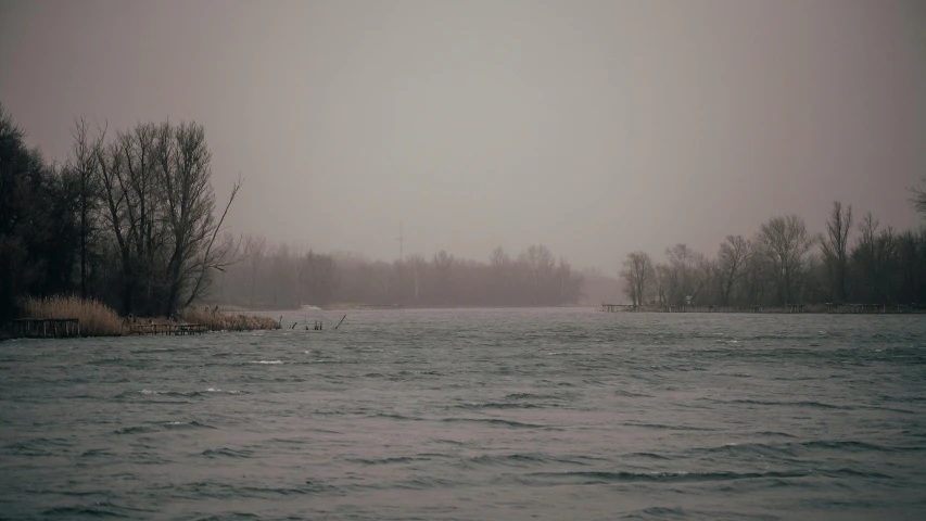 a body of water with trees on each side