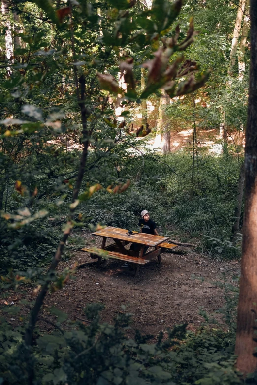 an image of a person sitting in the woods at a table