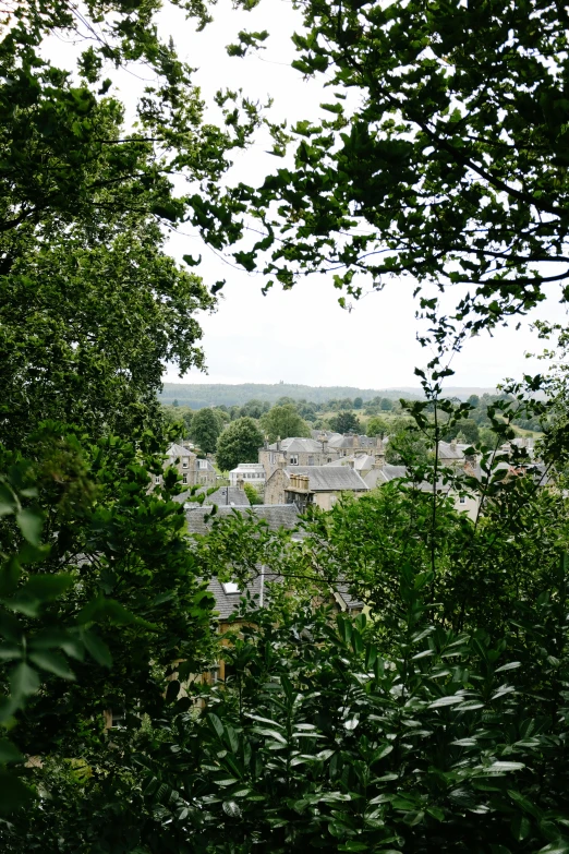 a view of a city from some trees