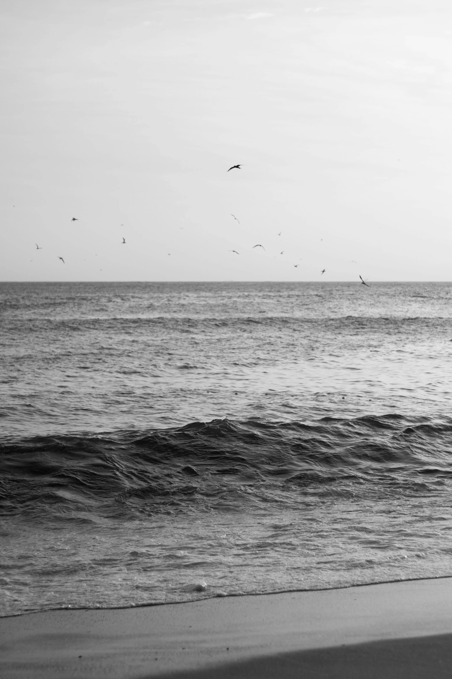 the ocean, with a lone bird in the distance