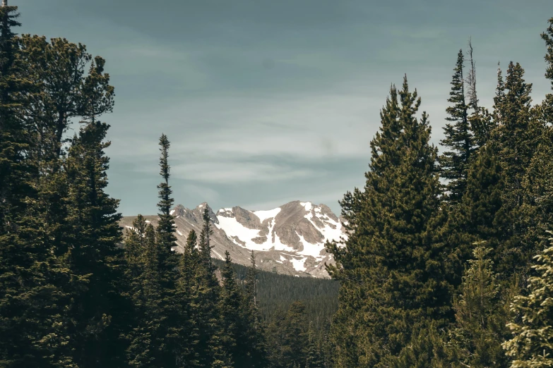 the view from behind some trees, with snow on top