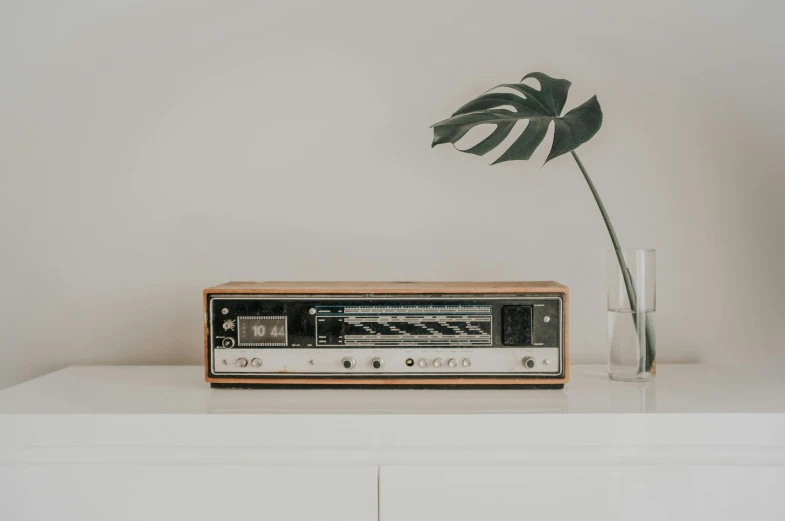 a stereo and a vase with a green plant on top