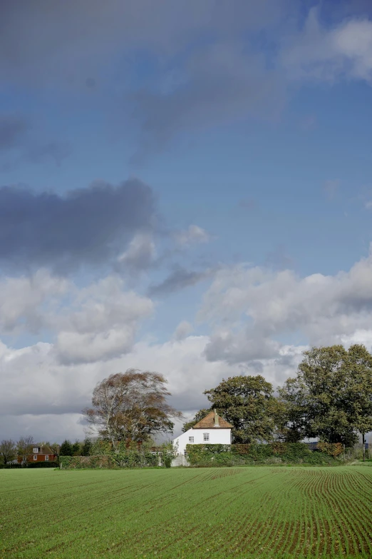 a green field under cloudy sky and trees