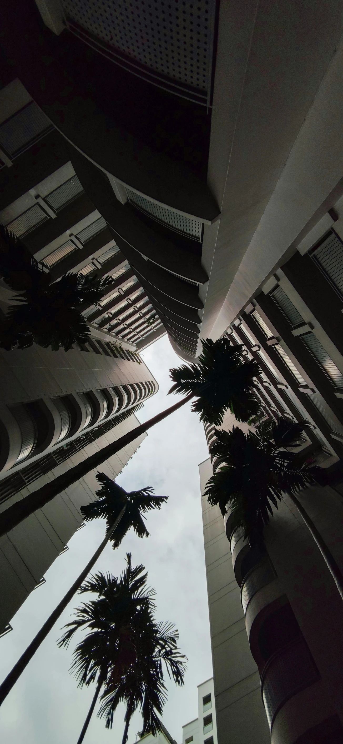 a s looking up at the top of some tall buildings