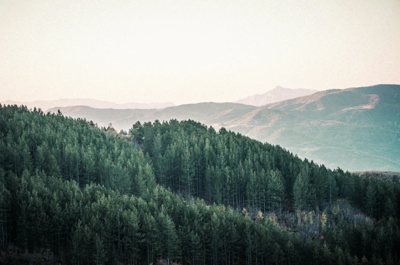 a hill with trees in the foreground and a sky in the background