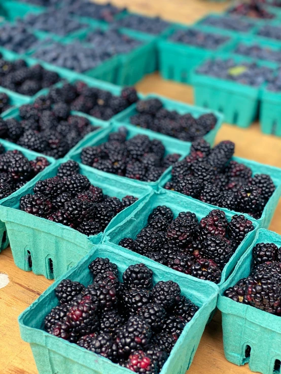 fresh blackberries in containers lined up on a wooden table