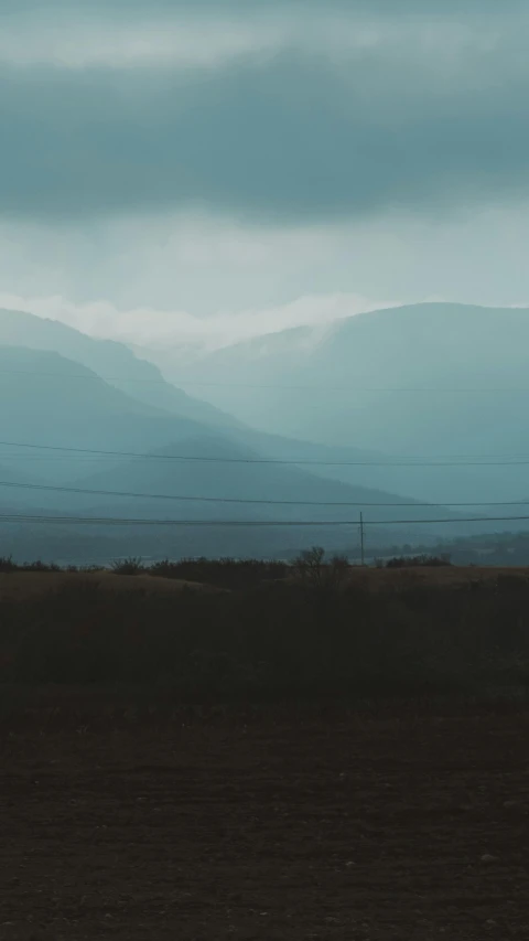 two sheep grazing in a field near the mountains