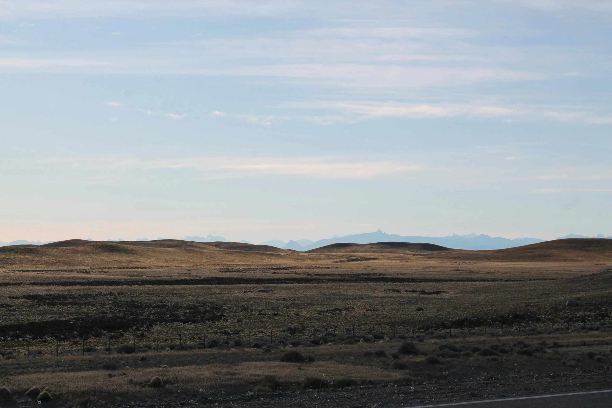 two birds sitting on the side of a large hill