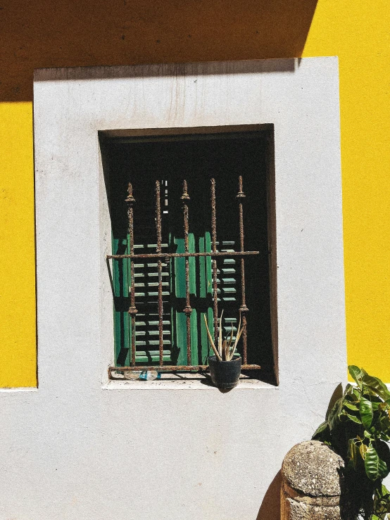 an artful image of bamboo sticks sticking out of the window