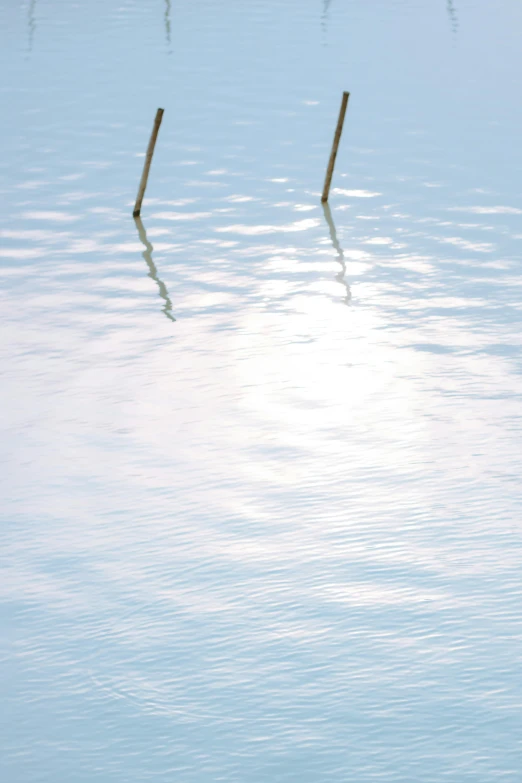 an empty pool with a few sticks sticking out of it