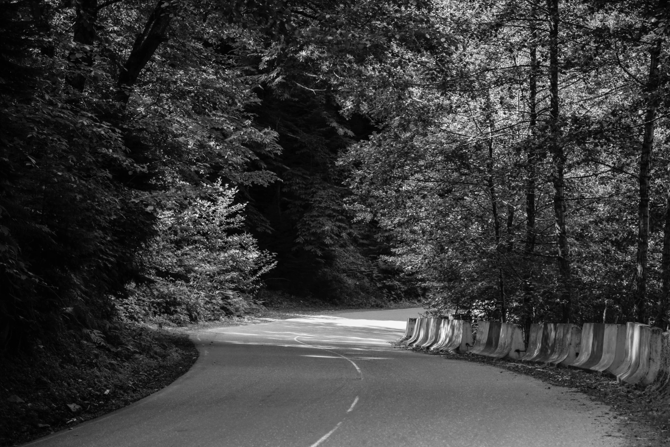 a road with a wooden fence around it