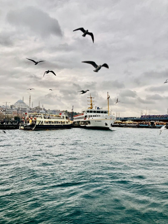 birds flying over a boat docked at a port