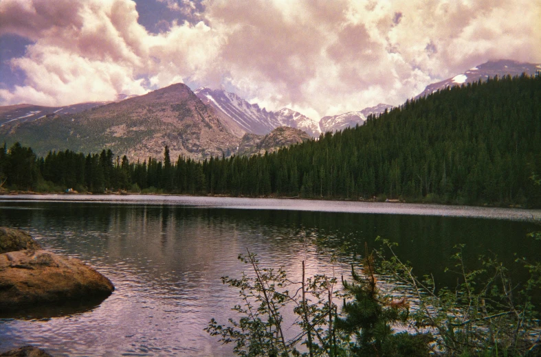 a forest on the bank of a large lake