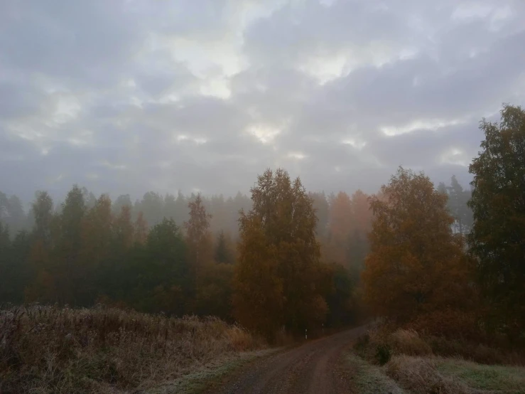 a dirt road through a forest with clouds in the distance