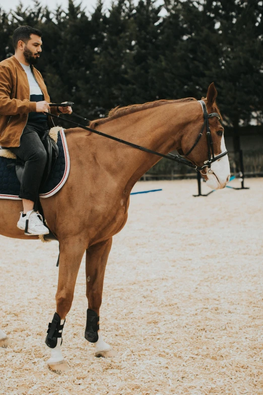 the man is riding on the horse, looking at his phone