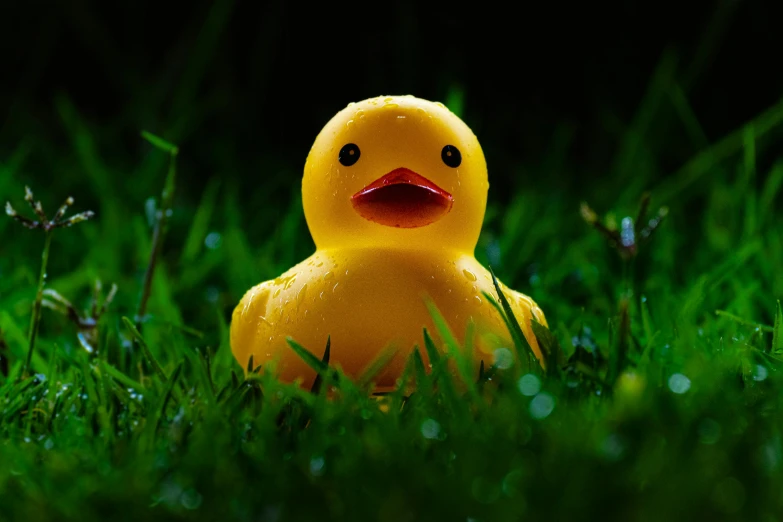 a rubber duck sitting in the green grass