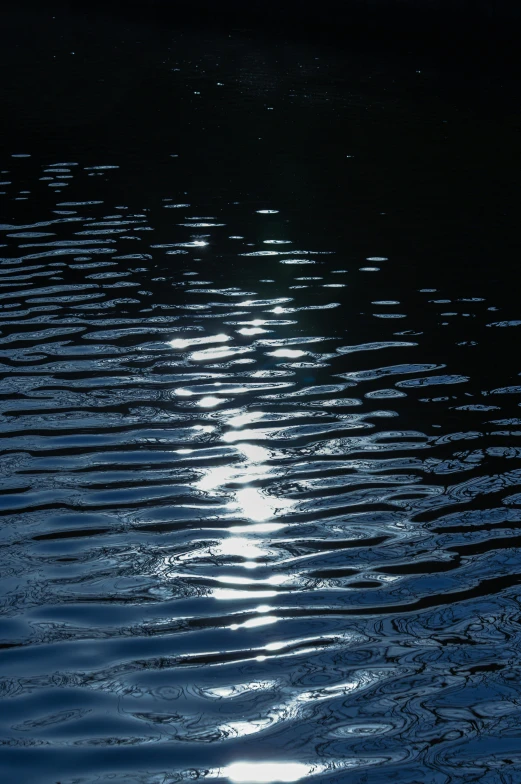 the water is calm and is illuminated by the sun