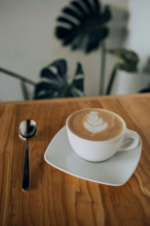 a cappuccino served on a plate with a spoon