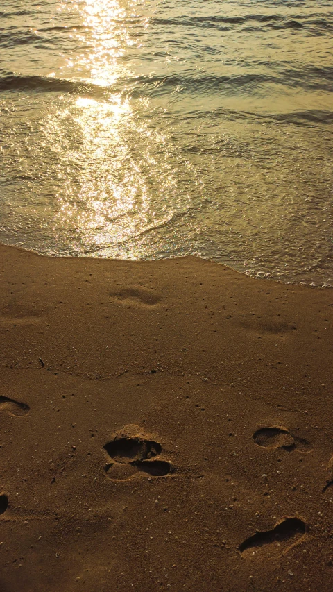 footprints in the sand at the beach with the sun shining on the ocean