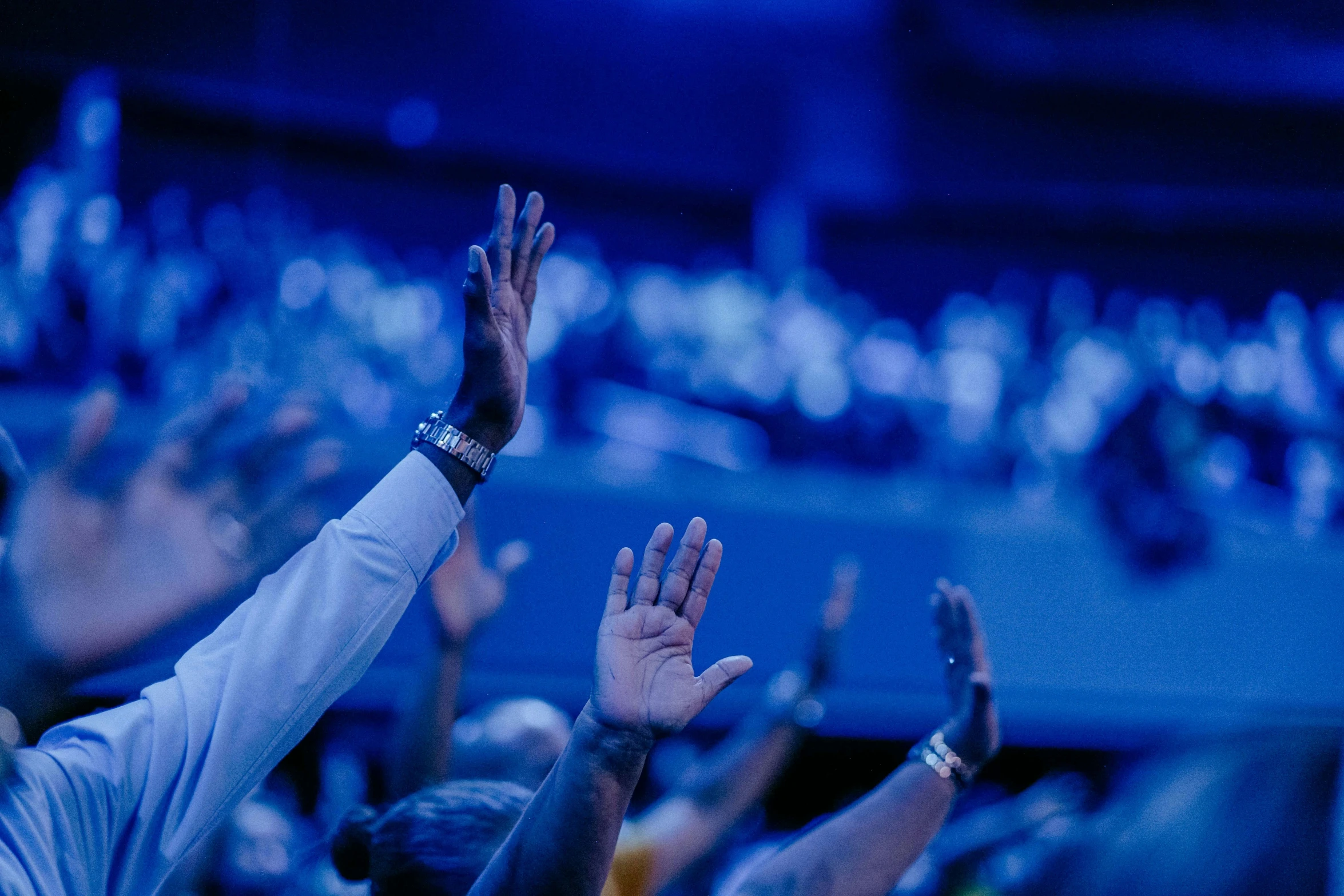 a crowd in the audience applauding and raising their hands