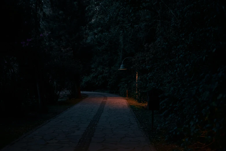 the pathway is dimly lit at night in the woods