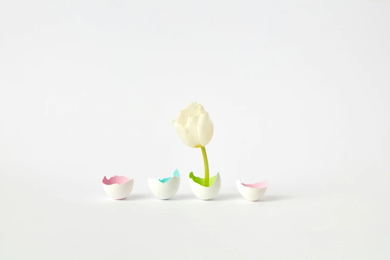 a group of eggs sitting in front of a tulip