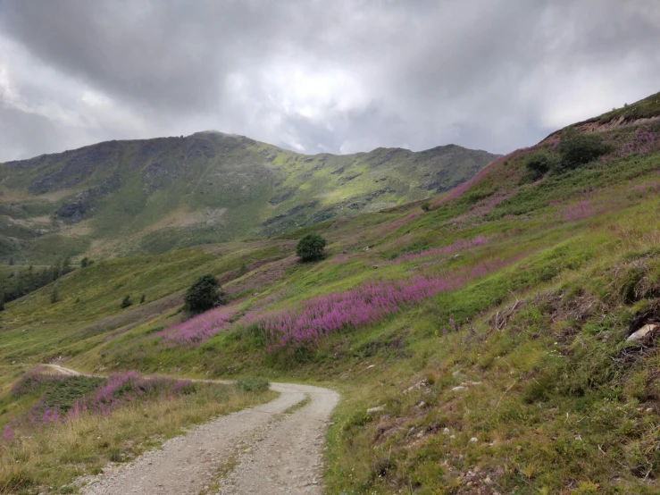 the trail is going up the hill towards the mountains