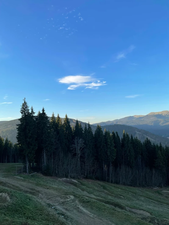 a hillside with trees in the middle and mountains behind