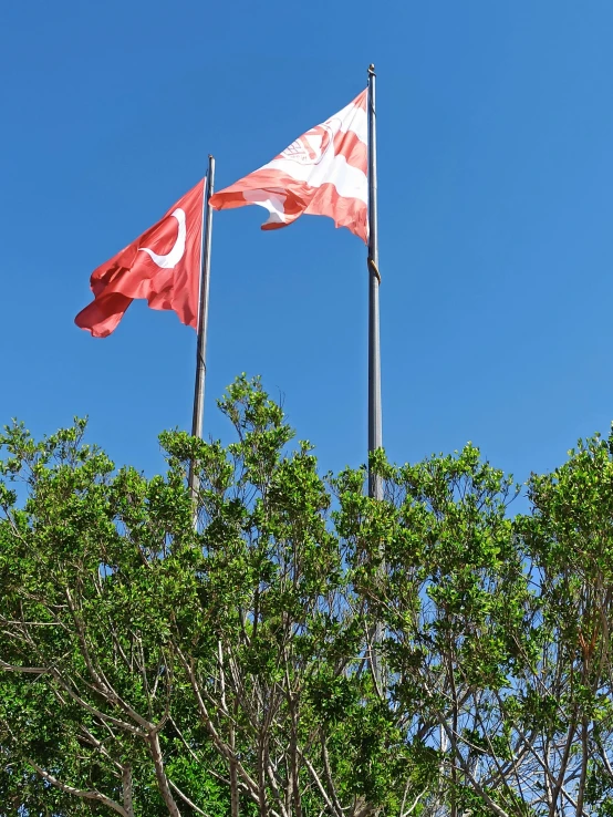 two flags fly side by side in a tree filled blue sky