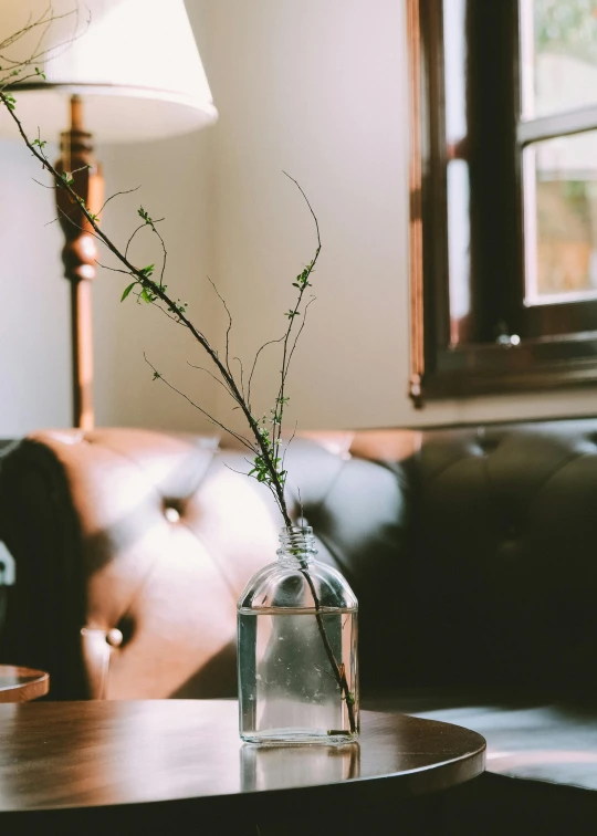 a glass vase with some plants in it