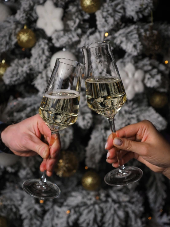 two people holding their glasses full of wine