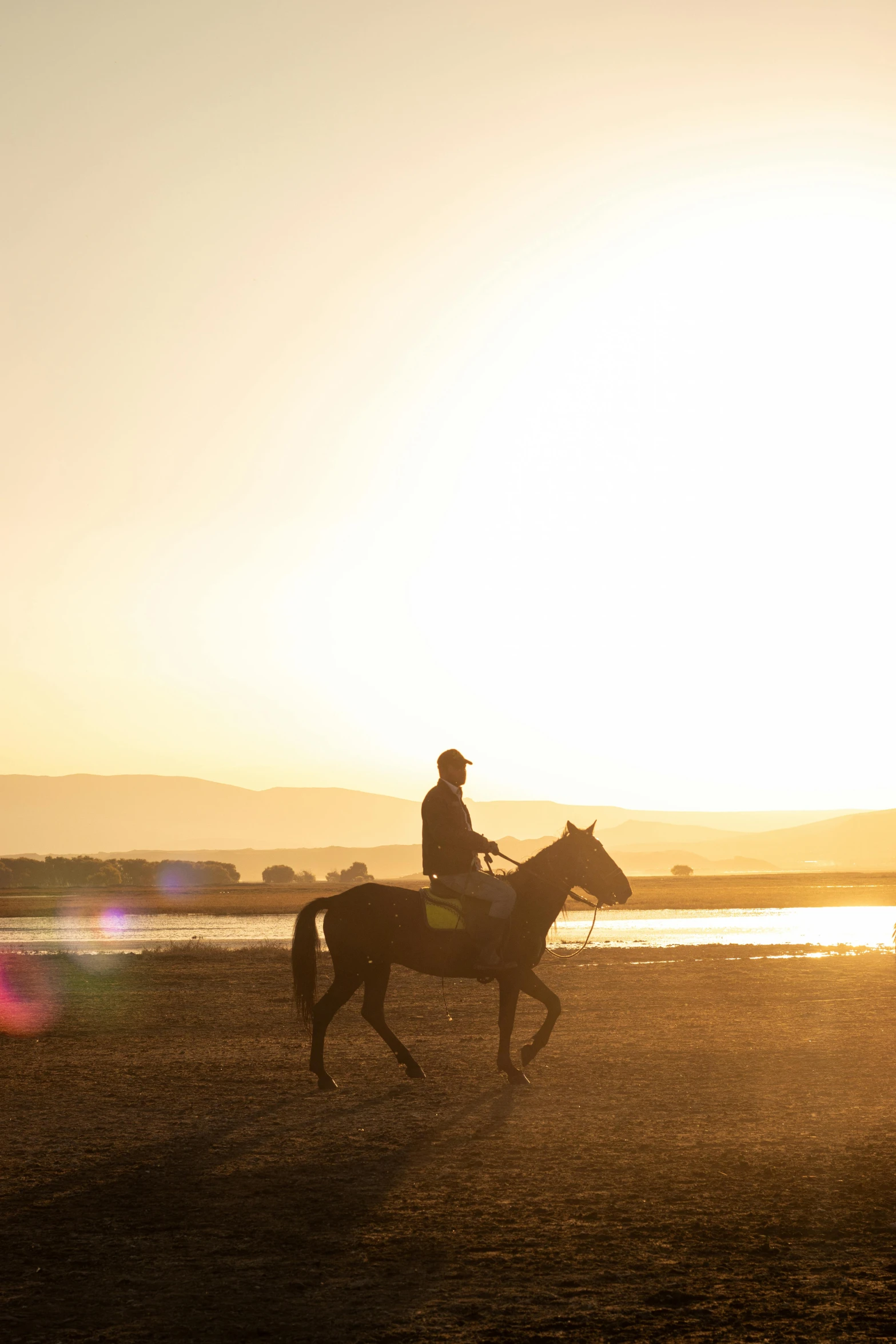 a man riding on the back of a horse