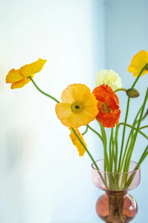 flowers in vase with water and green stems
