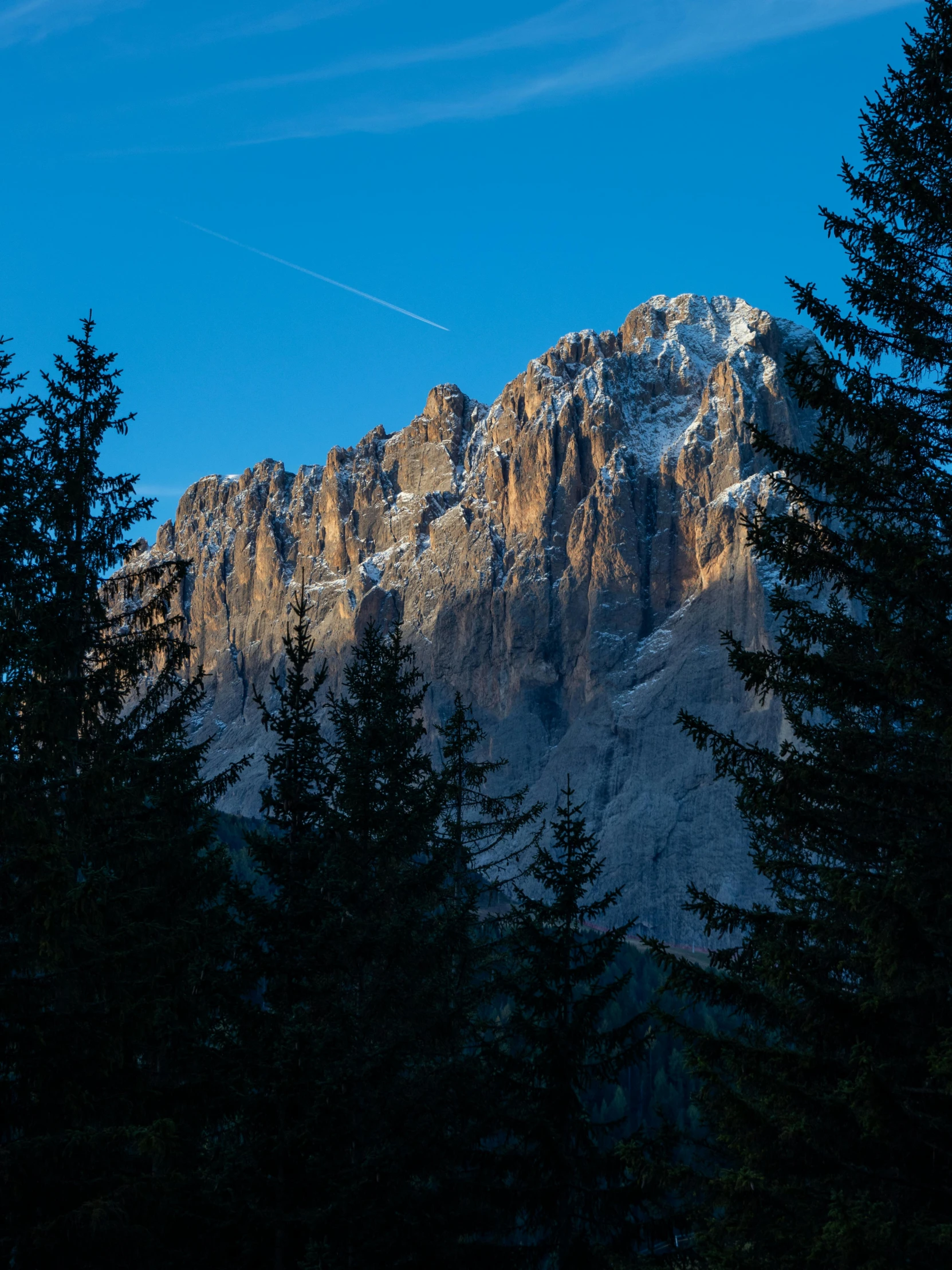 an image of a mountain and trees in the distance