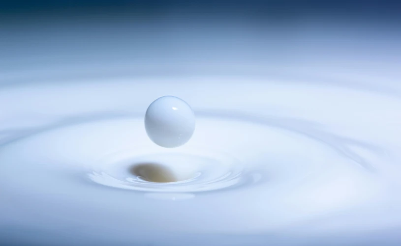 an egg is in the water going towards the sky