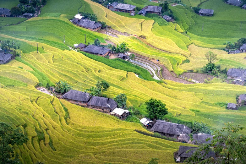 a lush green hillside with a small village nestled on top of it