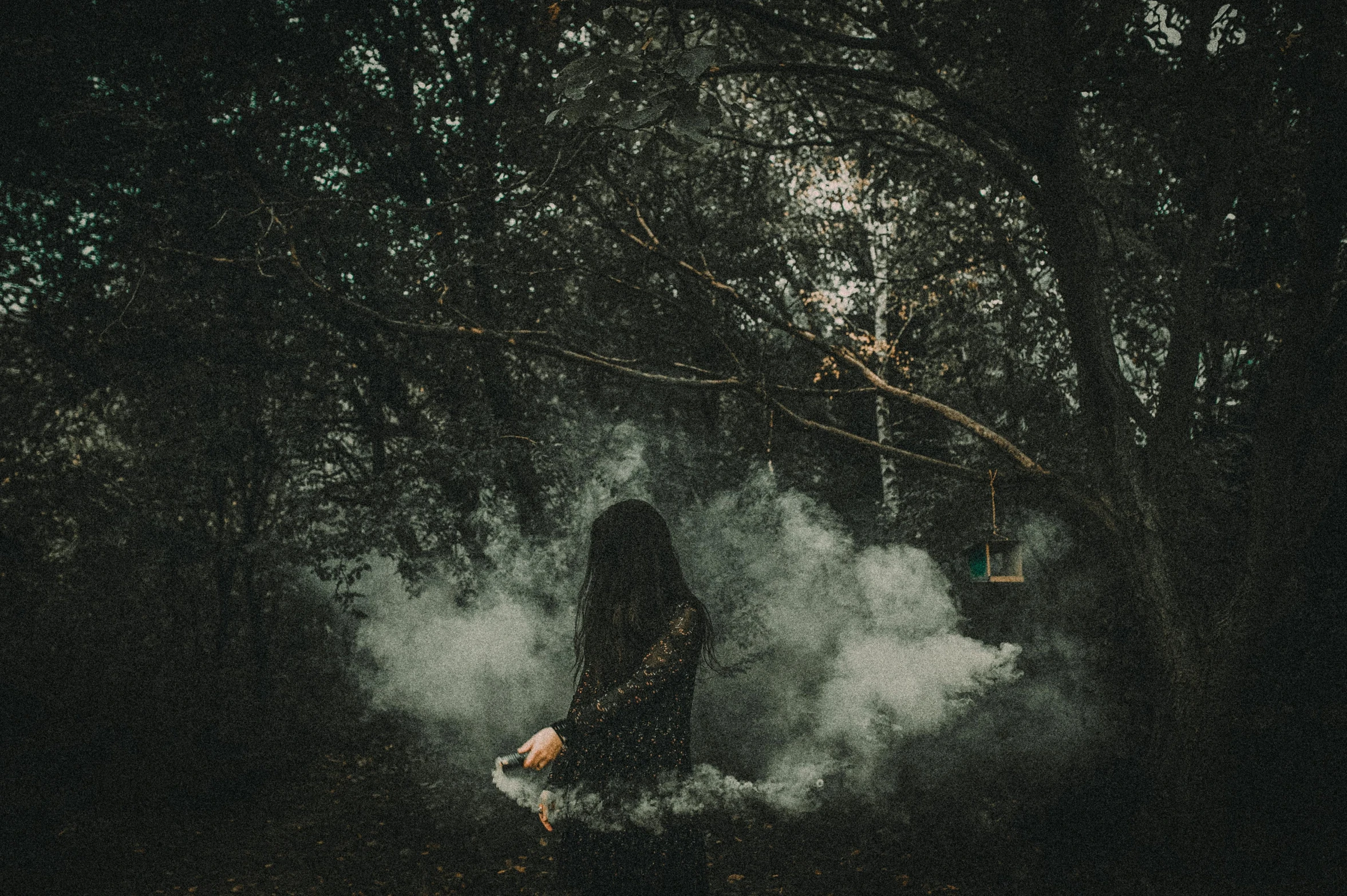 a person in the woods surrounded by smoke