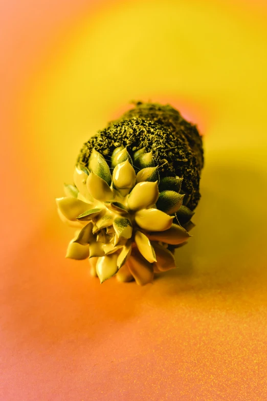 broccoli sprouts with green leaves resting in the center